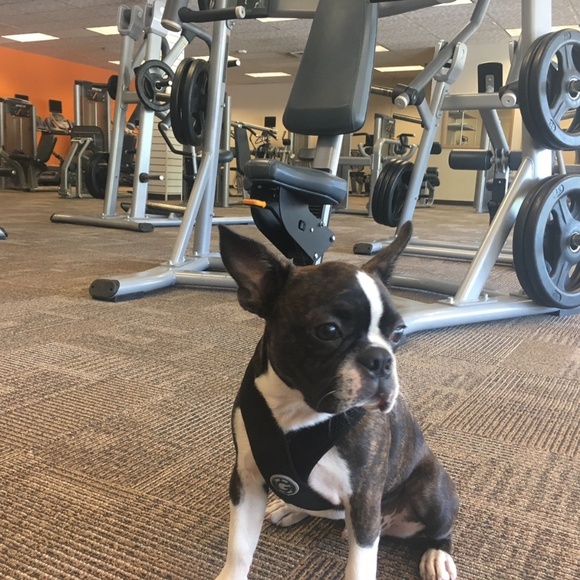 Meet your Posher, Jillian - Picture 5 of 5